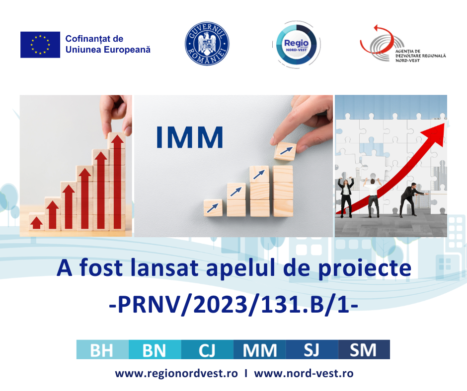 Ghidul Solicitantului 131.B - Creșterea Competitivității IMM-urilor Din ...